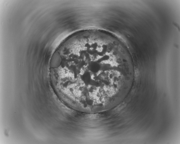 X0000102531279200808291812