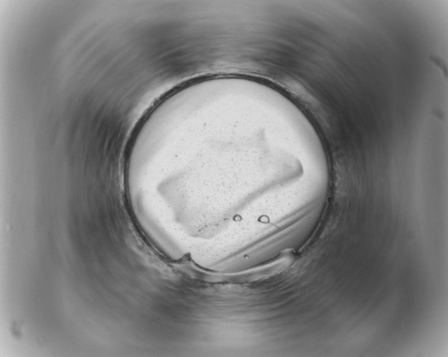 X0000102531280200808291812