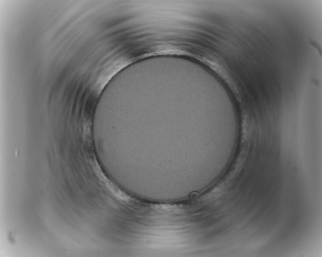 X0000102531281200808291812