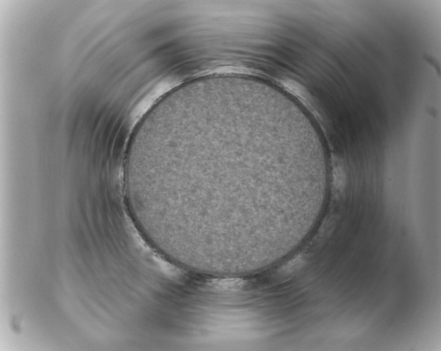 X0000102531282200808291812