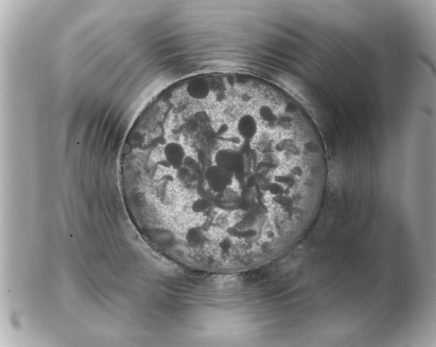 X0000102531283200808291812