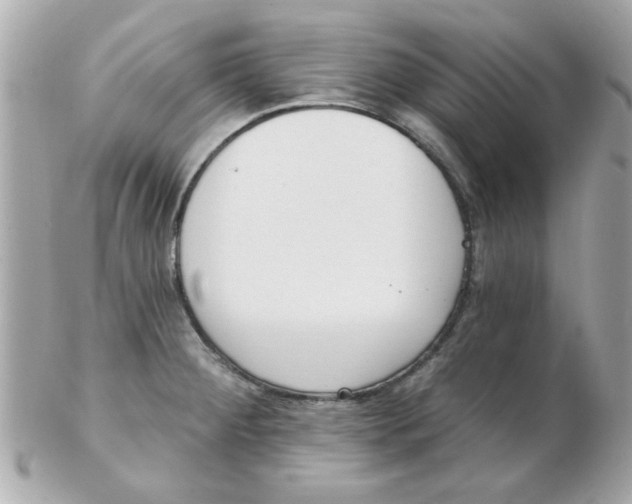 X0000102531284200808291812