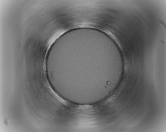 X0000102531285200808291812