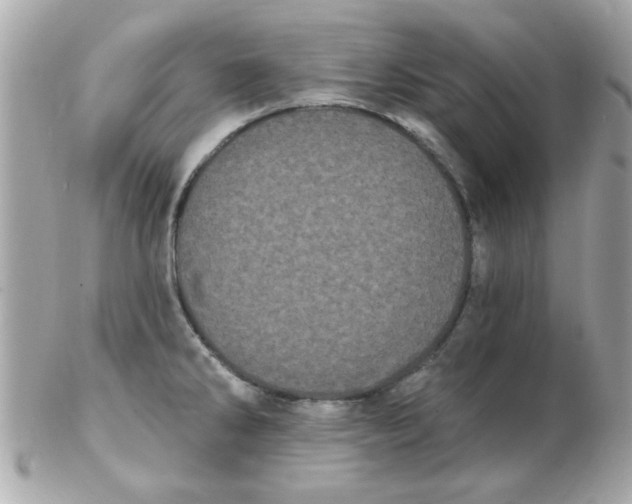 X0000102531286200808291812