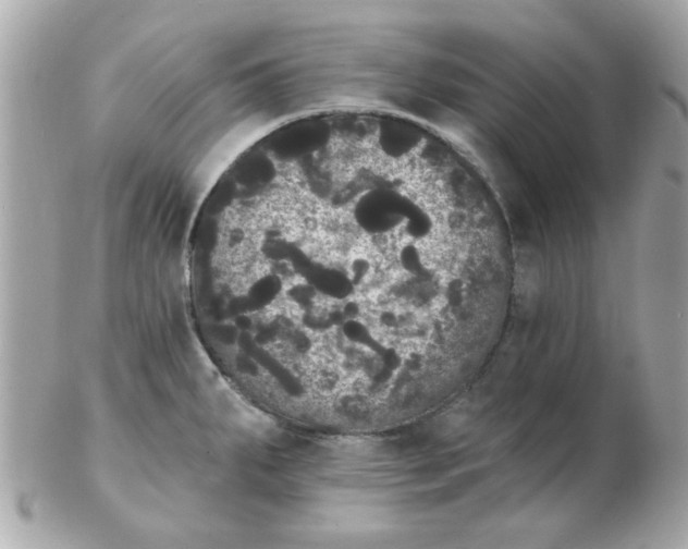 X0000102531287200808291812