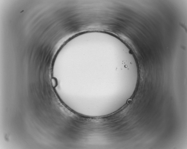 X0000102531288200808291812