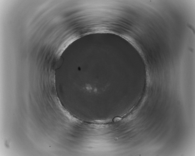 X0000102531289200808291812