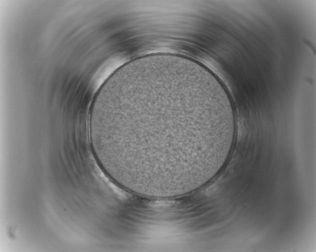 X0000102531290200808291812