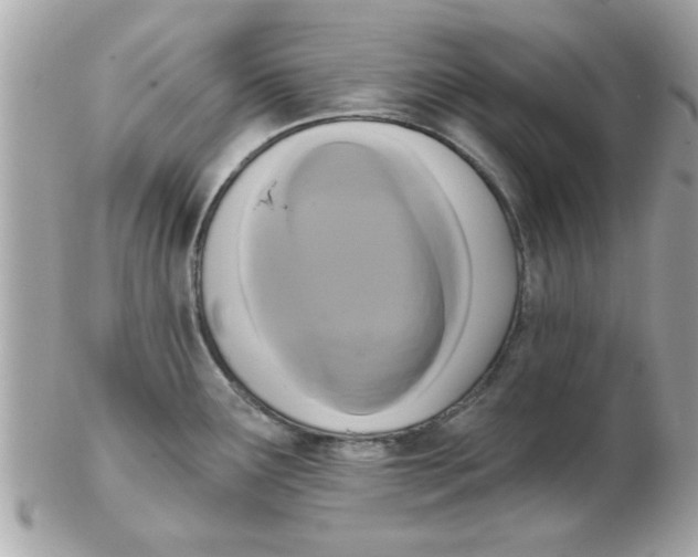 X0000102531291200808291812