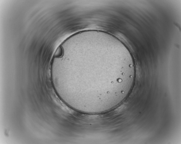 X0000102531292200808291812