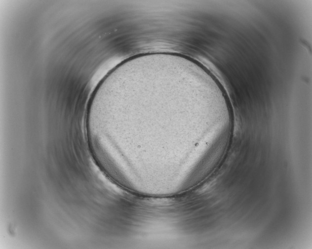 X0000102531293200808291812