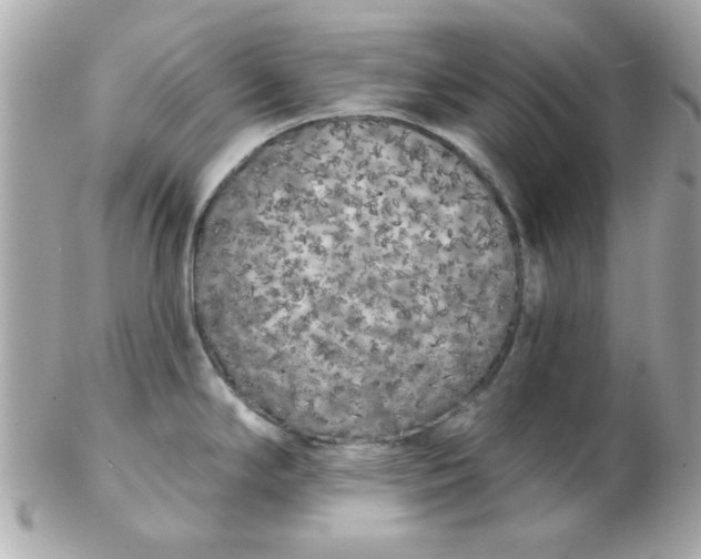 X0000102531294200808291812