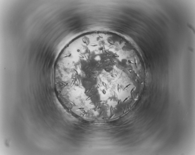 X0000102531295200808291812