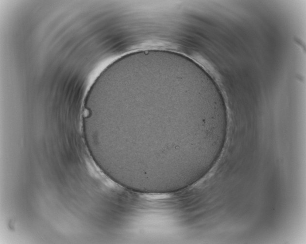 X0000102531296200808291812