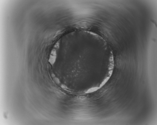 X0000102531297200808291811