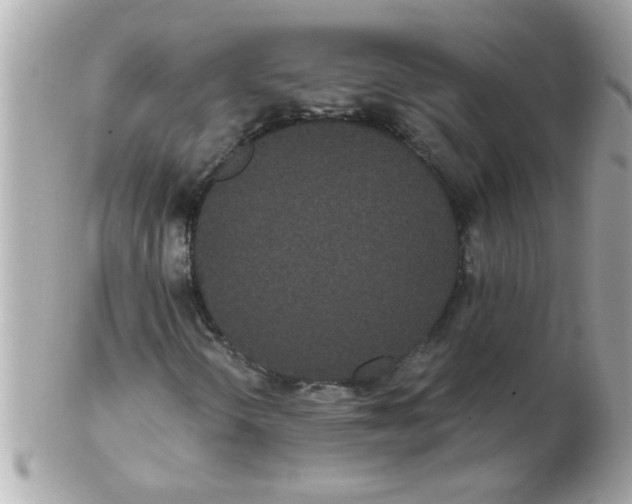 X0000102531298200808291811