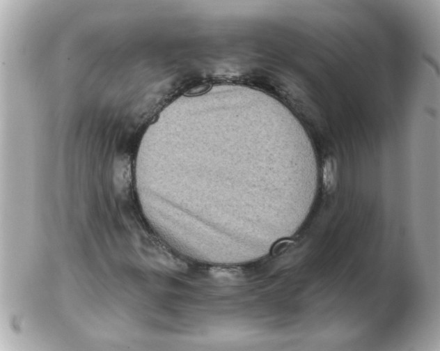 X0000102531299200808291811