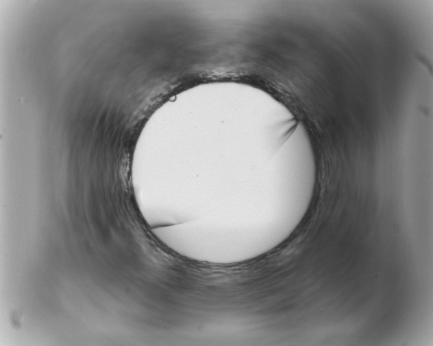 X0000102531300200808291811