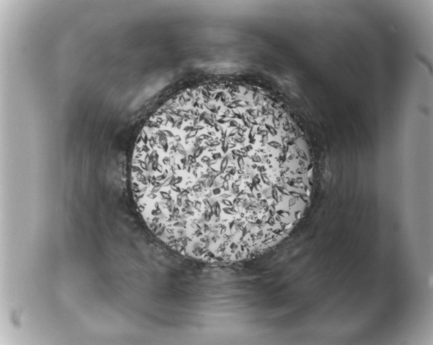 X0000102531301200808291811