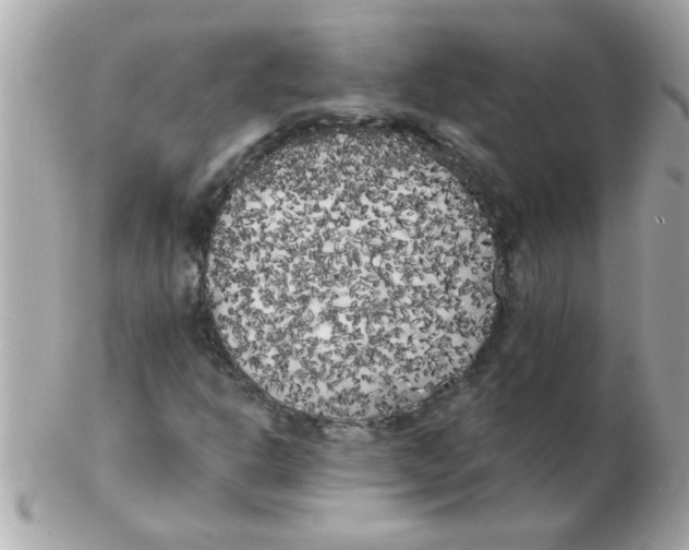 X0000102531302200808291811