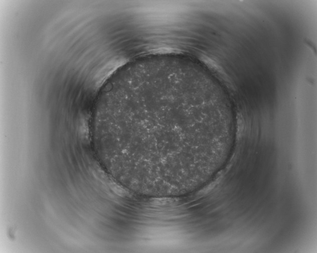 X0000102531305200808291811