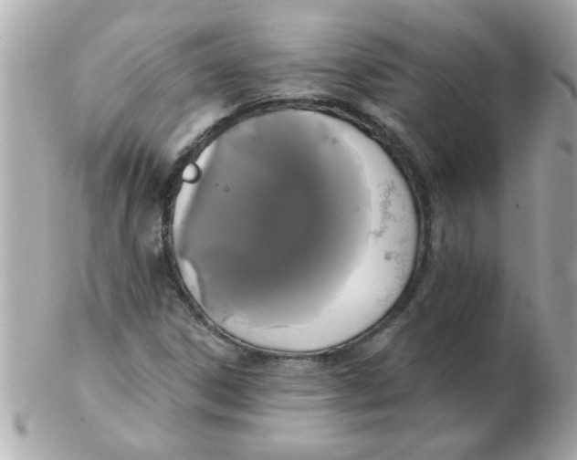 X0000102531306200808291811