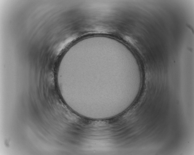 X0000102531307200808291811