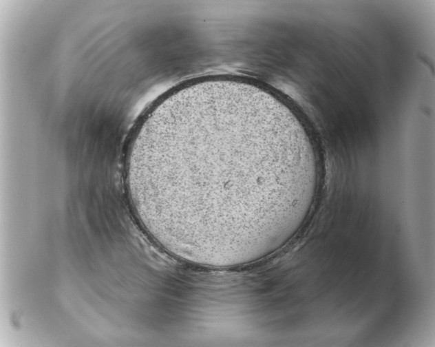 X0000102531308200808291811