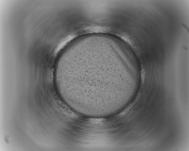 X0000102531309200808291811