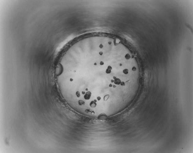 X0000102531310200808291811