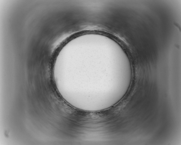 X0000102531311200808291811