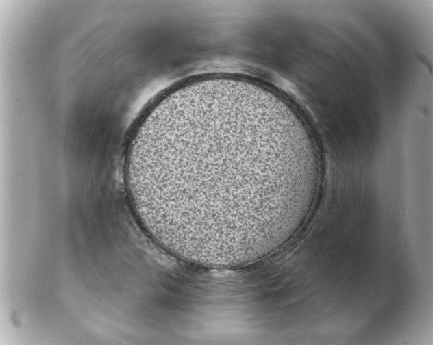 X0000102531312200808291811