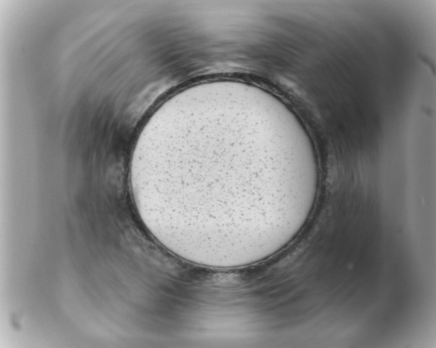 X0000102531313200808291811