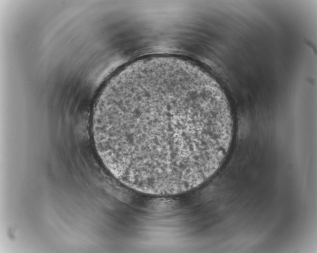 X0000102531314200808291811