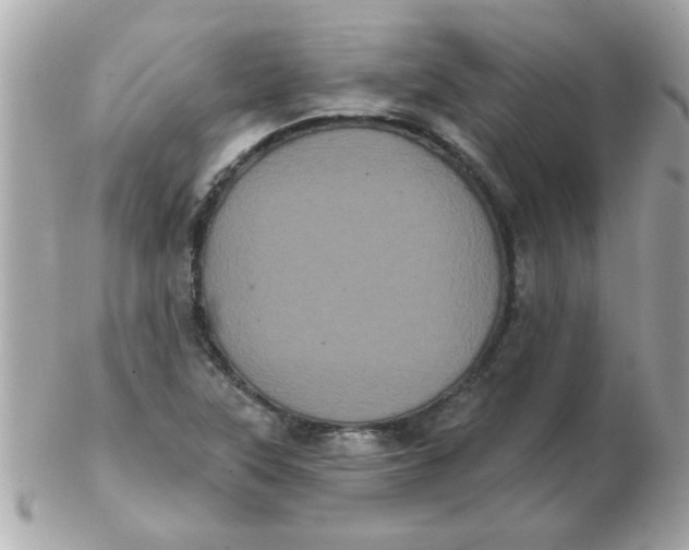 X0000102531315200808291811