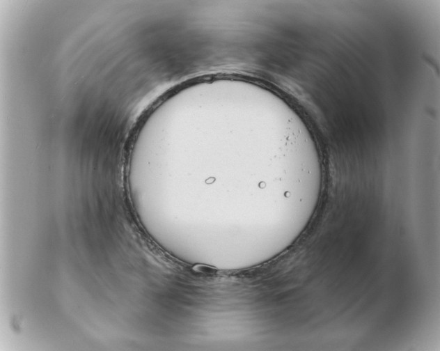 X0000102531316200808291811