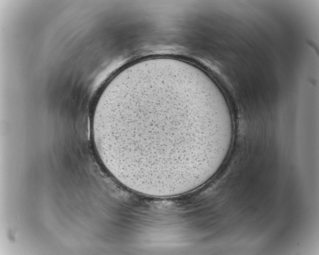 X0000102531317200808291811