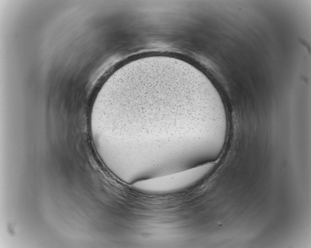 X0000102531318200808291811