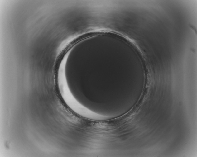 X0000102531319200808291811