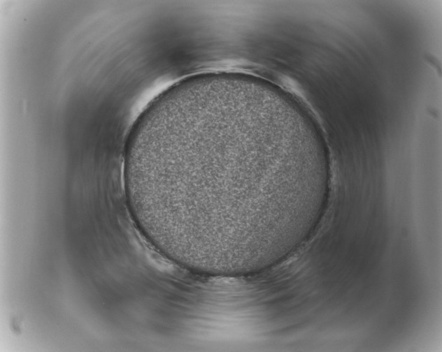 X0000102531320200808291811