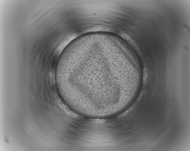 X0000102531321200808291811