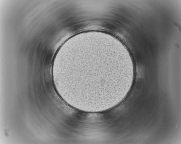 X0000102531322200808291811