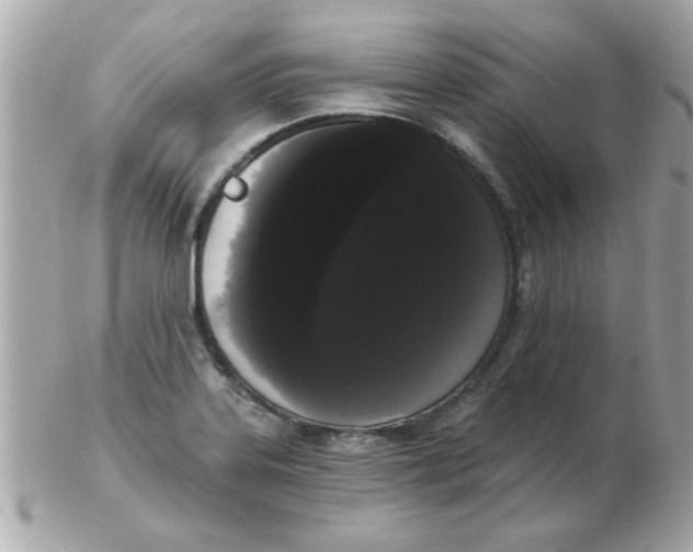 X0000102531323200808291811