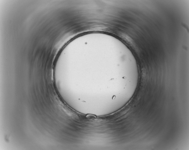 X0000102531324200808291811