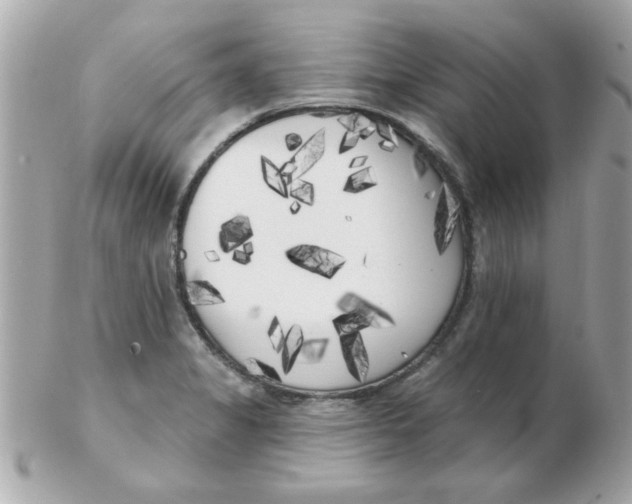 X0000102531325200808291811