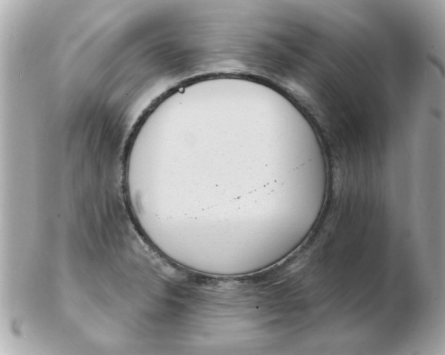 X0000102531326200808291811