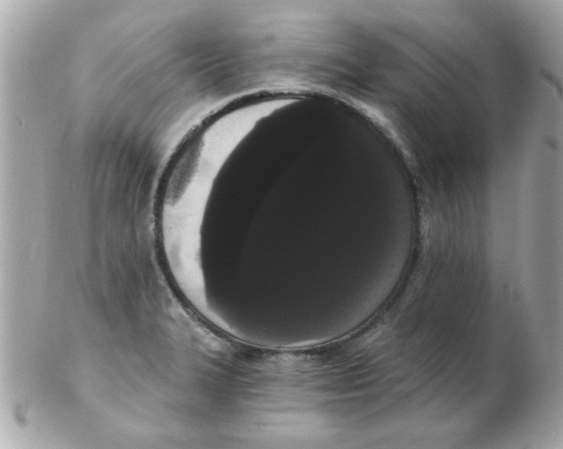 X0000102531327200808291811