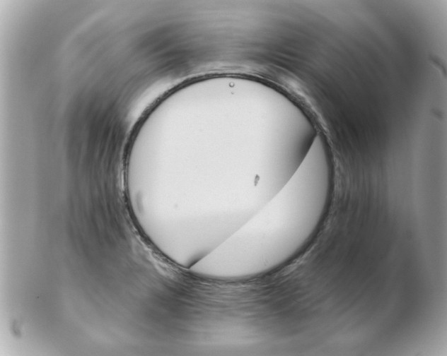 X0000102531328200808291811