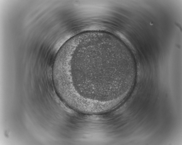 X0000102531329200808291811