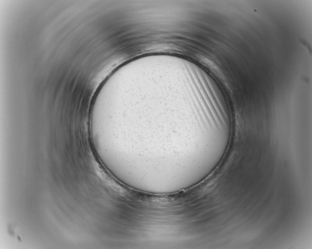 X0000102531330200808291811